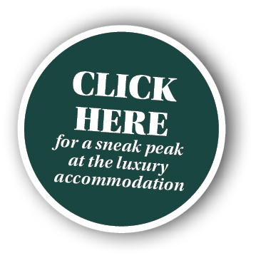 CLICK HERE for a sneak peak at the luxury accommodation