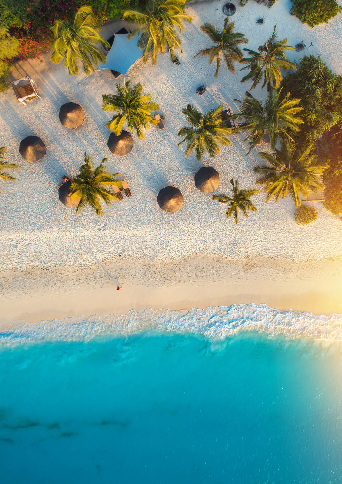 Aerial view of umbrellas, palms on the sandy beach of Indian Ocean at sunset. Summer holiday in Zanzibar, Africa. Tropical landscape with palm trees, parasols, white sand, blue water, waves. Top view