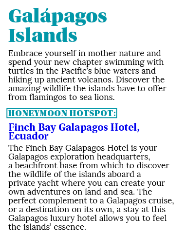 Gal pagos Islands Embrace yourself in mother nature and spend your new chapter swimming with turtles in the Pacific’s...