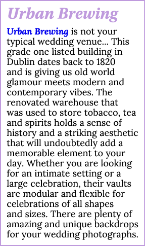 Urban Brewing Urban Brewing is not your typical wedding venue    This grade one listed building in Dublin dates back    