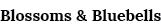 Blossoms & Bluebells