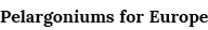 Pelargoniums for Europe