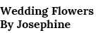 Wedding Flowers By Josephine