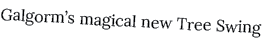 Galgorm s magical new Tree Swing
