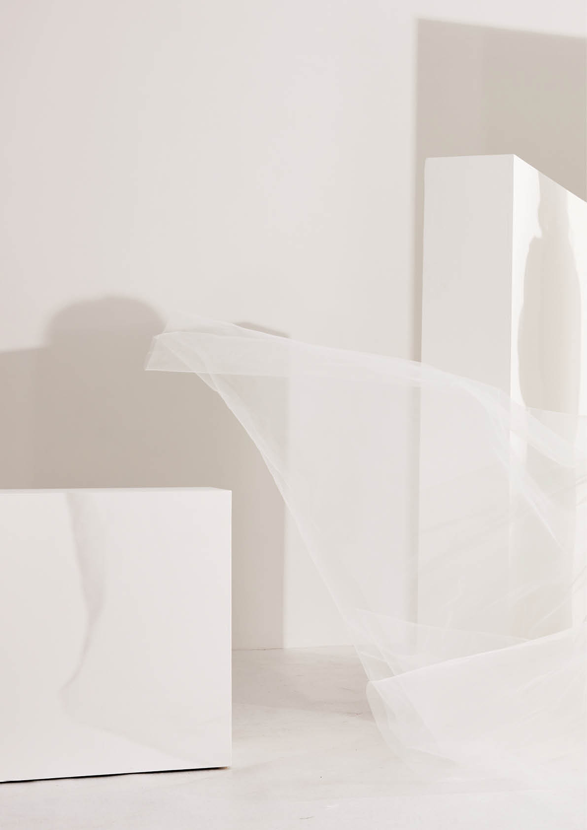 1 year usage - online and social from date of shoot