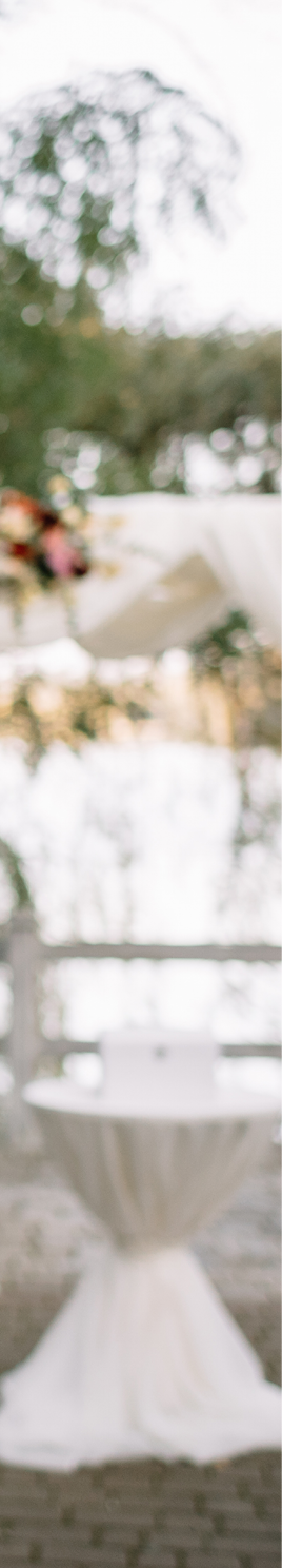 Elegant man with a microphone talking speech