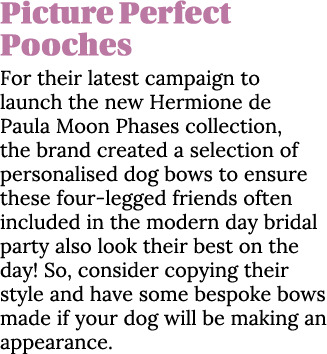 Picture Perfect Pooches For their latest campaign to launch the new Hermione de Paula Moon Phases collection, the bra   