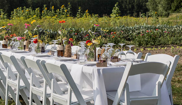 Dinner at sunset in the farm field 