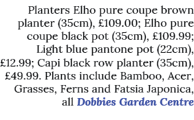 Planters Elho pure coupe brown planter (35cm),  109 00; Elho pure coupe black pot (35cm),  109 99; Light blue pantone   