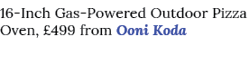 16-Inch Gas-Powered Outdoor Pizza Oven,  499 from Ooni Koda