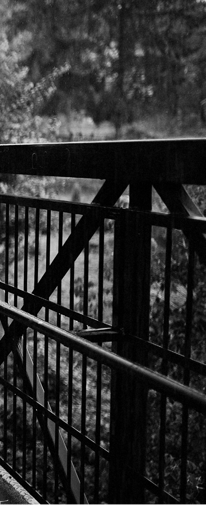 Wedding couple taking a walk with an umbrella on a rainy day  Black and white photo 