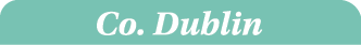 Co. Dublin