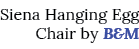 Siena Hanging Egg Chair by B&M