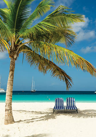 Sunbeds under a palm tree on exotic Barbados beach in the Carribean