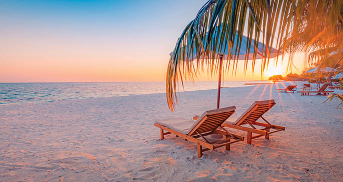 Tranquil tropical sunset scenery couple sun bed loungers, umbrella palm tree leaves  White sand sea view horizon, colorful twilight sky, calmness relaxation  Luxury vacation travel beach resort hotel