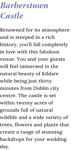 Barberstown Castle Renowned for its atmosphere and is steeped in a rich history, you ll fall completely in love with    