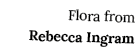 Flora from Rebecca Ingram