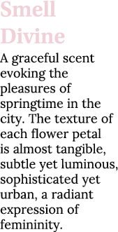 Smell Divine A graceful scent evoking the pleasures of springtime in the city  The texture of each flower petal is al   