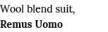 Wool blend suit, Remus Uomo
