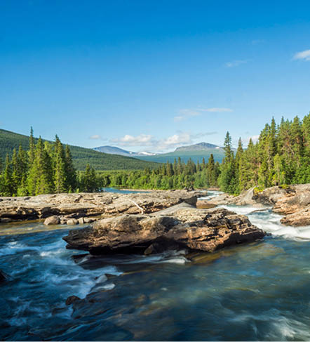 Beautiful landscape with long exposure water stream and cascade of river Kamajokk, boulders and spruce tree forest in Kvikkjokk village in Swedish Lapland. Summer sunny day, blue sky, white clouds