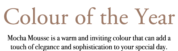 Colour of the Year Mocha Mousse is a warm and inviting colour that can add a touch of elegance and sophistication to ...