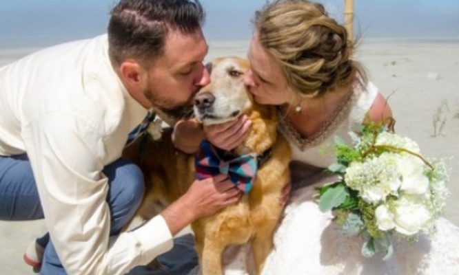 couple changes wedding plans for dying dog