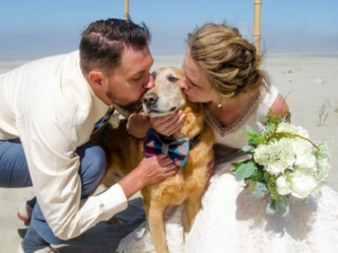 couple changes wedding plans for dying dog
