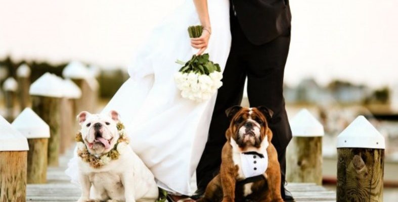 wedding trends 2016