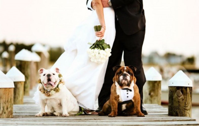 wedding trends 2016
