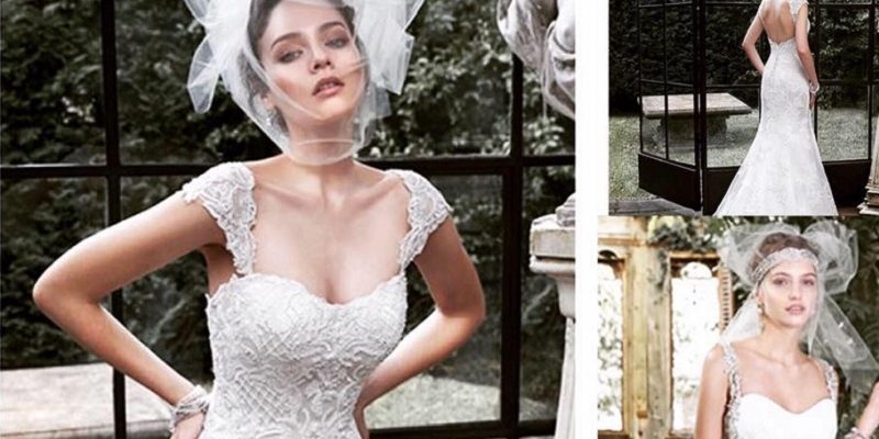 Bridal by Nikki Kavanagh - The Story so far!