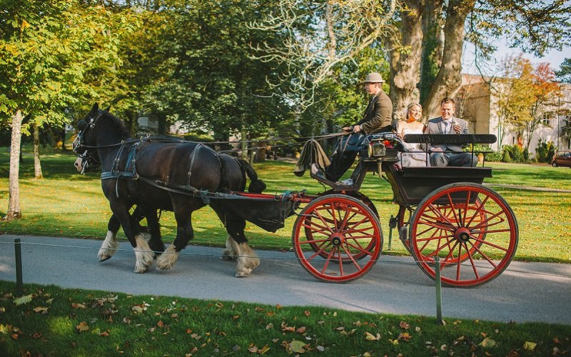 Real Irish Wedding