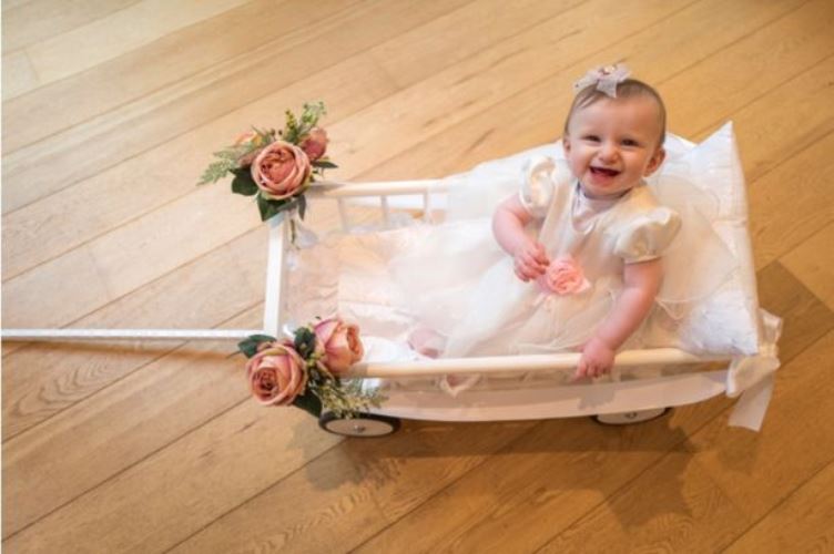 Wedding baby carriages 1
