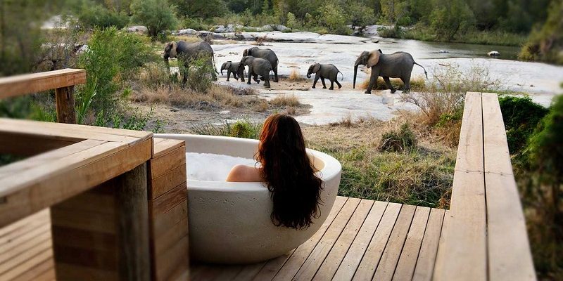 honeymoons in south africa londolozi