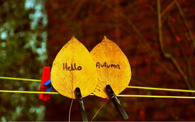 Autumnal wedding ideas 7