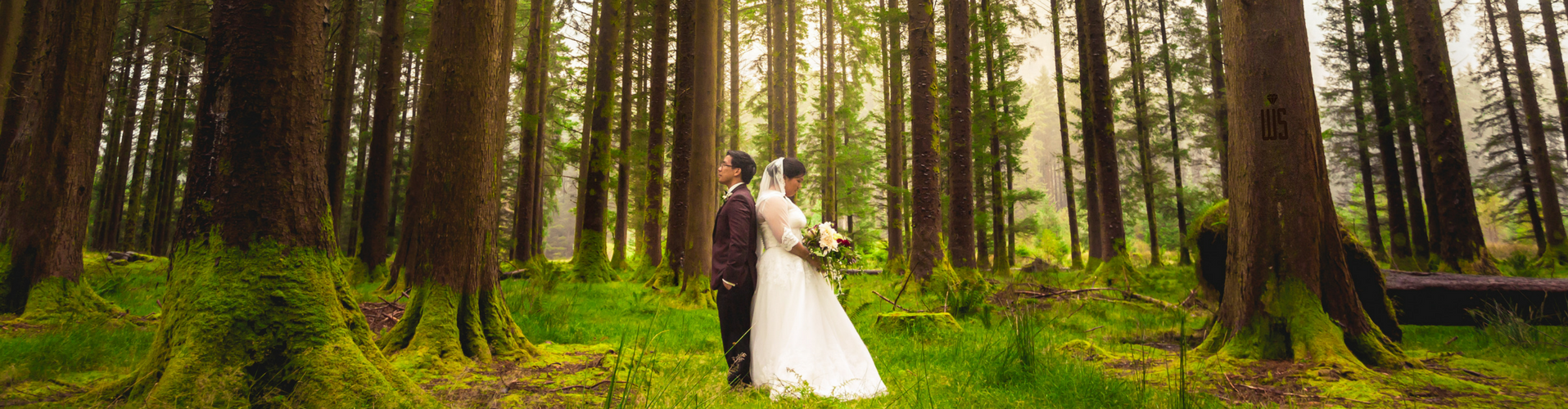 wedding storytellers