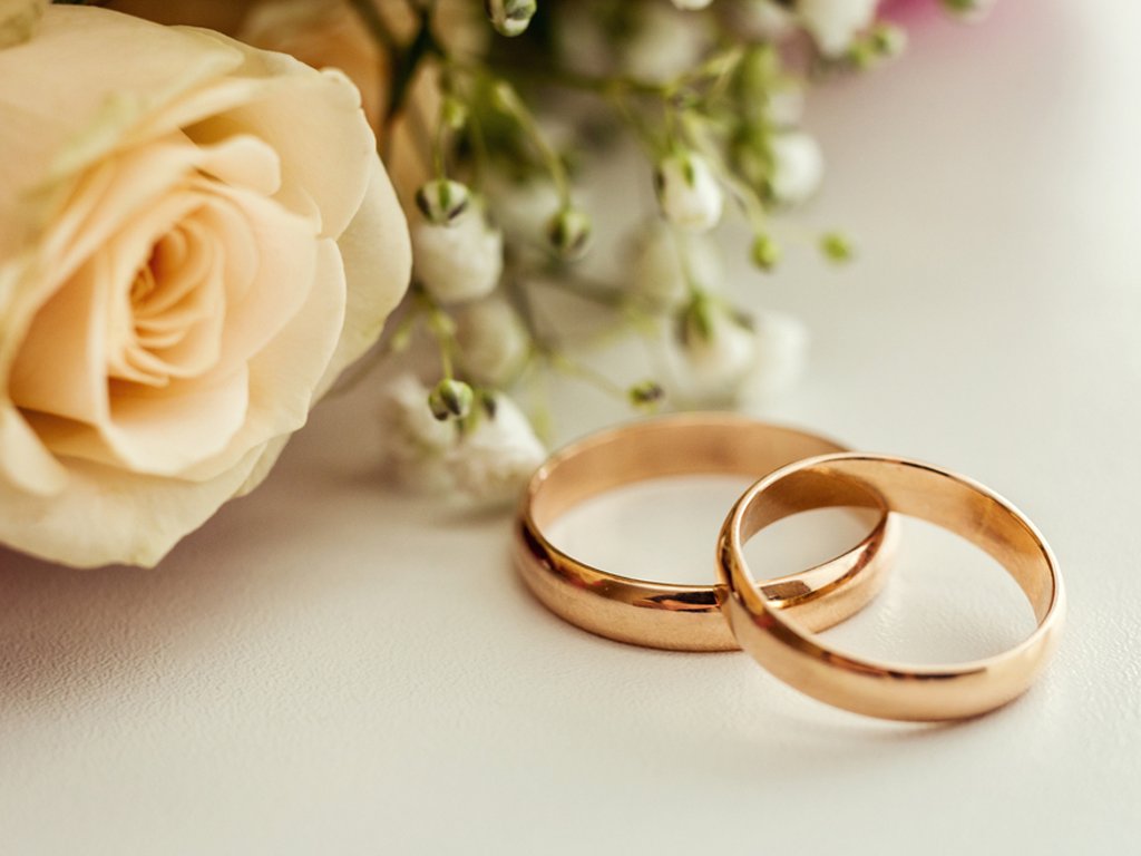 Wedding Journal Online - Wedding Rings