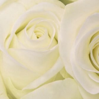 Athenaeum-House-Hotel-Bouquet