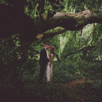 Bellinter-House-Forest