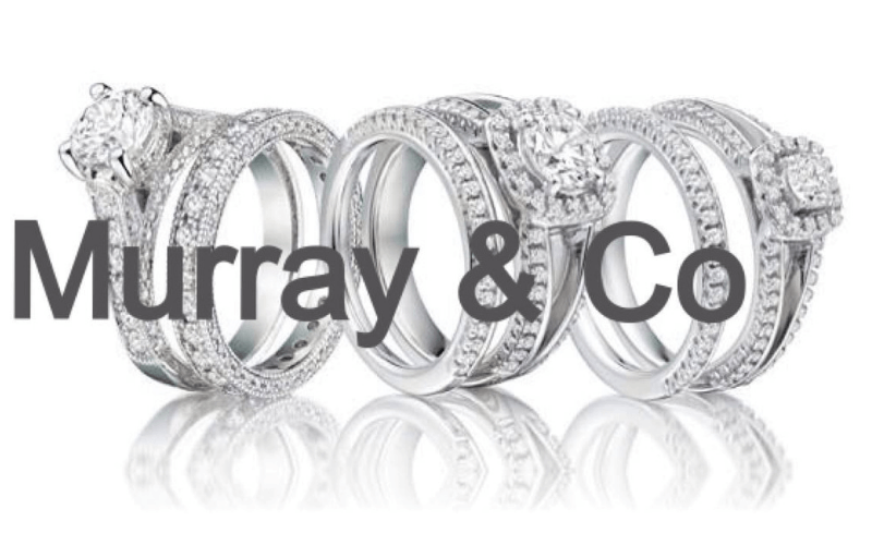 Murray-&-Co-Logo