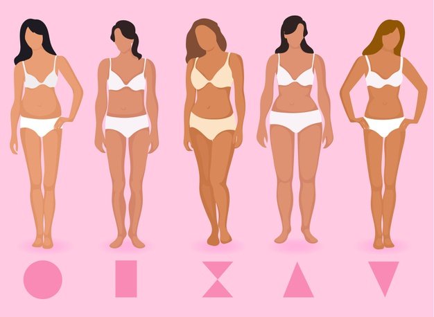 The most common body types/shapes 1.4 Identification of female